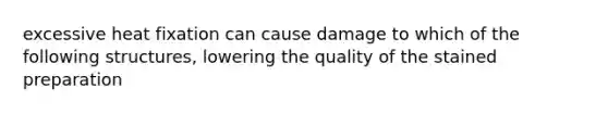 excessive heat fixation can cause damage to which of the following structures, lowering the quality of the stained preparation