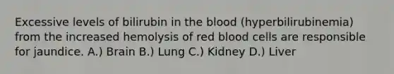 Excessive levels of bilirubin in the blood (hyperbilirubinemia) from the increased hemolysis of red blood cells are responsible for jaundice. A.) Brain B.) Lung C.) Kidney D.) Liver