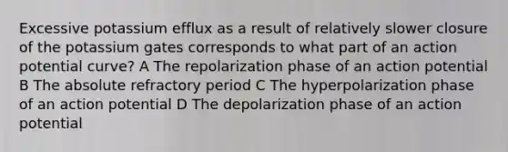 Excessive potassium efflux as a result of relatively slower closure of the potassium gates corresponds to what part of an action potential curve? A The repolarization phase of an action potential B The absolute refractory period C The hyperpolarization phase of an action potential D The depolarization phase of an action potential