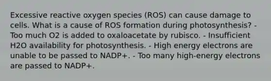 Excessive reactive oxygen species (ROS) can cause damage to cells. What is a cause of ROS formation during photosynthesis? - Too much O2 is added to oxaloacetate by rubisco. - Insufficient H2O availability for photosynthesis. - High energy electrons are unable to be passed to NADP+. - Too many high-energy electrons are passed to NADP+.