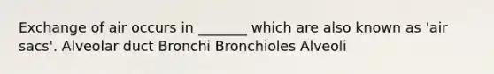 Exchange of air occurs in _______ which are also known as 'air sacs'. Alveolar duct Bronchi Bronchioles Alveoli