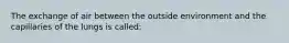 The exchange of air between the outside environment and the capillaries of the lungs is called: