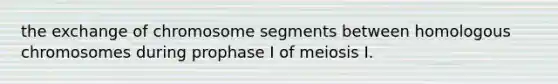 the exchange of chromosome segments between homologous chromosomes during prophase I of meiosis I.