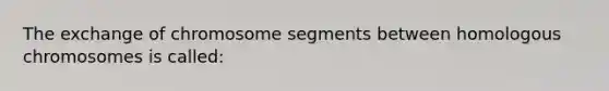 The exchange of chromosome segments between homologous chromosomes is called: