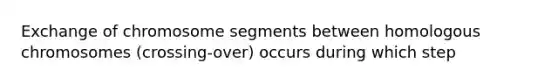 Exchange of chromosome segments between homologous chromosomes (crossing-over) occurs during which step