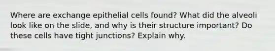 Where are exchange epithelial cells found? What did the alveoli look like on the slide, and why is their structure important? Do these cells have tight junctions? Explain why.