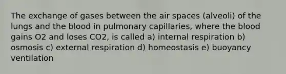 The exchange of gases between the air spaces (alveoli) of the lungs and the blood in pulmonary capillaries, where the blood gains O2 and loses CO2, is called a) internal respiration b) osmosis c) external respiration d) homeostasis e) buoyancy ventilation