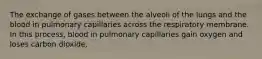 The exchange of gases between the alveoli of the lungs and the blood in pulmonary capillaries across the respiratory membrane. In this process, blood in pulmonary capillaries gain oxygen and loses carbon dioxide.