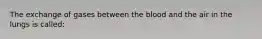 The exchange of gases between the blood and the air in the lungs is called: