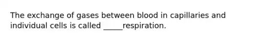 The exchange of gases between blood in capillaries and individual cells is called _____respiration.