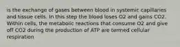 is the exchange of gases between blood in systemic capillaries and tissue cells. In this step the blood loses O2 and gains CO2. Within cells, the metabolic reactions that consume O2 and give off CO2 during the production of ATP are termed cellular respiration