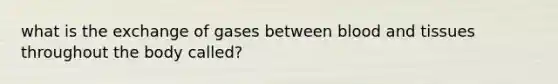 what is the exchange of gases between blood and tissues throughout the body called?