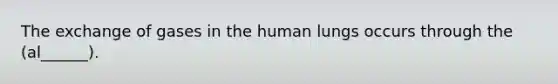 The exchange of gases in the human lungs occurs through the (al______).