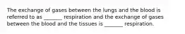 The exchange of gases between the lungs and the blood is referred to as _______ respiration and the exchange of gases between the blood and the tissues is _______ respiration.