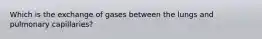 Which is the exchange of gases between the lungs and pulmonary capillaries?