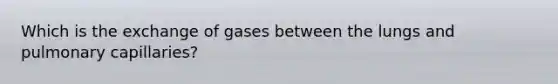 Which is the exchange of gases between the lungs and pulmonary capillaries?