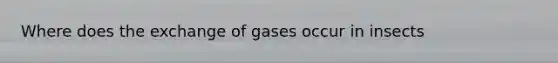 Where does the exchange of gases occur in insects