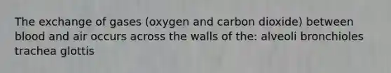 The exchange of gases (oxygen and carbon dioxide) between blood and air occurs across the walls of the: alveoli bronchioles trachea glottis