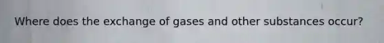 Where does the exchange of gases and other substances occur?