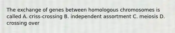 The exchange of genes between homologous chromosomes is called A. criss-crossing B. independent assortment C. meiosis D. crossing over