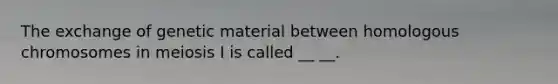 The exchange of genetic material between homologous chromosomes in meiosis I is called __ __.