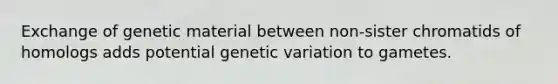 Exchange of genetic material between non-sister chromatids of homologs adds potential genetic variation to gametes.