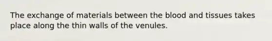 The exchange of materials between the blood and tissues takes place along the thin walls of the venules.