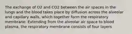 The exchange of O2 and CO2 between the air spaces in the lungs and the blood takes place by diffusion across the alveolar and capillary walls, which together form the respiratory membrane. Extending from the alveolar air space to blood plasma, the respiratory membrane consists of four layers