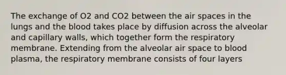 The exchange of O2 and CO2 between the air spaces in the lungs and the blood takes place by diffusion across the alveolar and capillary walls, which together form the respiratory membrane. Extending from the alveolar air space to blood plasma, the respiratory membrane consists of four layers