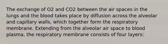 The exchange of O2 and CO2 between the air spaces in the lungs and <a href='https://www.questionai.com/knowledge/k7oXMfj7lk-the-blood' class='anchor-knowledge'>the blood</a> takes place by diffusion across the alveolar and capillary walls, which together form the respiratory membrane. Extending from the alveolar air space to blood plasma, the respiratory membrane consists of four layers: