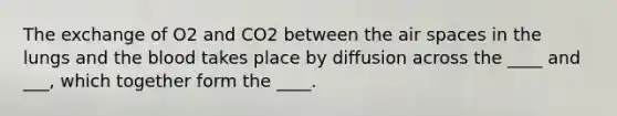 The exchange of O2 and CO2 between the air spaces in the lungs and the blood takes place by diffusion across the ____ and ___, which together form the ____.