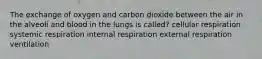 The exchange of oxygen and carbon dioxide between the air in the alveoli and blood in the lungs is called? cellular respiration systemic respiration internal respiration external respiration ventilation