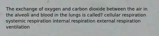 The exchange of oxygen and carbon dioxide between the air in the alveoli and blood in the lungs is called? cellular respiration systemic respiration internal respiration external respiration ventilation