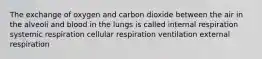 The exchange of oxygen and carbon dioxide between the air in the alveoli and blood in the lungs is called internal respiration systemic respiration cellular respiration ventilation external respiration