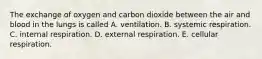 The exchange of oxygen and carbon dioxide between the air and blood in the lungs is called A. ventilation. B. systemic respiration. C. internal respiration. D. external respiration. E. cellular respiration.