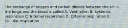 The exchange of oxygen and carbon dioxide between the air in the lungs and the blood is called A. Ventilation B. Systemic respiration C. Internal respiration D. External respiration E. Cellular respiration