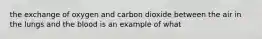 the exchange of oxygen and carbon dioxide between the air in the lungs and the blood is an example of what