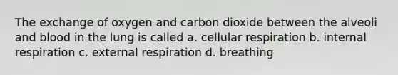 The exchange of oxygen and carbon dioxide between the alveoli and blood in the lung is called a. cellular respiration b. internal respiration c. external respiration d. breathing