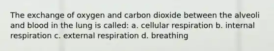 The exchange of oxygen and carbon dioxide between the alveoli and blood in the lung is called: a. <a href='https://www.questionai.com/knowledge/k1IqNYBAJw-cellular-respiration' class='anchor-knowledge'>cellular respiration</a> b. internal respiration c. external respiration d. breathing