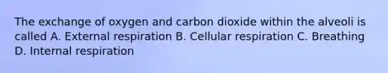 The exchange of oxygen and carbon dioxide within the alveoli is called A. External respiration B. Cellular respiration C. Breathing D. Internal respiration