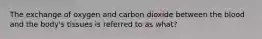 The exchange of oxygen and carbon dioxide between the blood and the body's tissues is referred to as what?