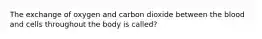 The exchange of oxygen and carbon dioxide between the blood and cells throughout the body is called?