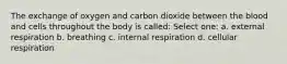 The exchange of oxygen and carbon dioxide between the blood and cells throughout the body is called: Select one: a. external respiration b. breathing c. internal respiration d. cellular respiration