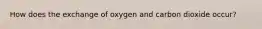 How does the exchange of oxygen and carbon dioxide occur?