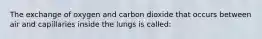 The exchange of oxygen and carbon dioxide that occurs between air and capillaries inside the lungs is called: