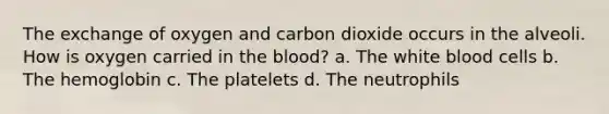 The exchange of oxygen and carbon dioxide occurs in the alveoli. How is oxygen carried in <a href='https://www.questionai.com/knowledge/k7oXMfj7lk-the-blood' class='anchor-knowledge'>the blood</a>? a. The white blood cells b. The hemoglobin c. The platelets d. The neutrophils