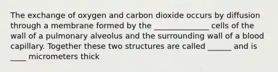 The exchange of oxygen and carbon dioxide occurs by diffusion through a membrane formed by the ______________ cells of the wall of a pulmonary alveolus and the surrounding wall of a blood capillary. Together these two structures are called ______ and is ____ micrometers thick