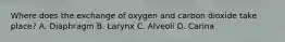 Where does the exchange of oxygen and carbon dioxide take​ place? A. Diaphragm B. Larynx C. Alveoli D. Carina