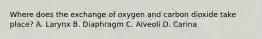 Where does the exchange of oxygen and carbon dioxide take​ place? A. Larynx B. Diaphragm C. Alveoli D. Carina