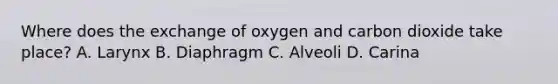 Where does the exchange of oxygen and carbon dioxide take place? A. Larynx B. Diaphragm C. Alveoli D. Carina